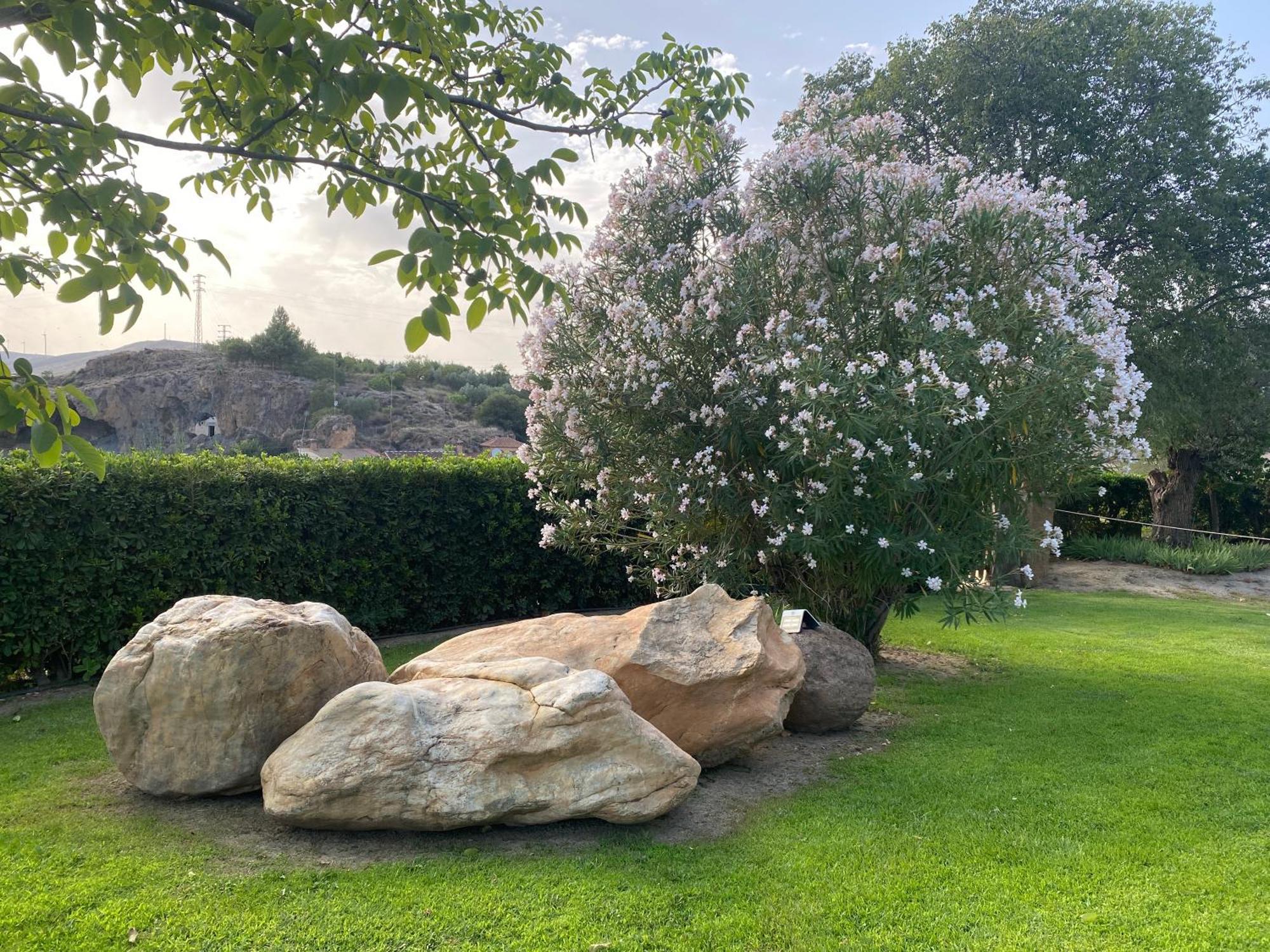 Villa Elisabeth غرناطة المظهر الخارجي الصورة